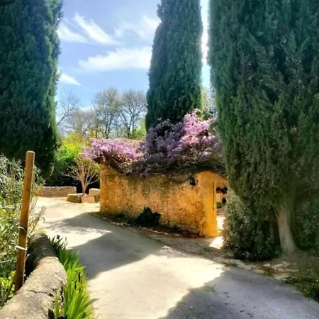 בית הארחה Maison 1643 Laudun